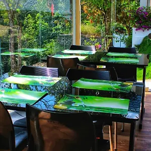 casa-nube.hotels-munnar.com/